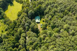 61 Wilderness Trail, Ellijay, GA 30540 - Photo 21