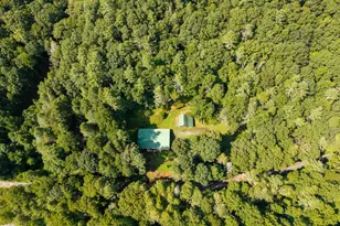 61 Wilderness Trail, Ellijay, GA 30540 - Photo 23