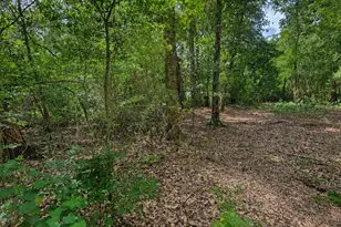 0 2nd Ave, Waynesville, GA 31566 - Photo 1