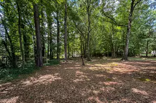 373 Deertrigger Landing, Athens, GA 30605 - Photo 29