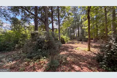 115 Emerald Lane, Hampton, GA 30228 - Photo 29