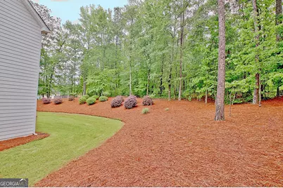 20 Woodchase Drive, Senoia, GA 30276 - Photo 97