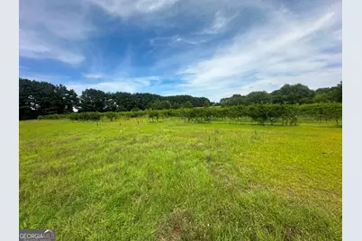 1808 Wire Road, Norway, SC 29113 - Photo 39