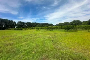 1808 Wire Rd, Norway, SC 29113 - Photo 39