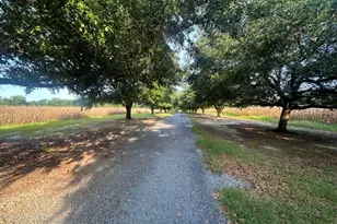 1808 Wire Rd, Norway, SC 29113 - Photo 3