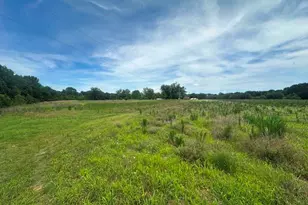 1808 Wire Rd, Norway, SC 29113 - Photo 37
