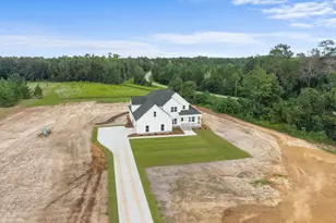 3227 Jason Franklin Rd, Register, GA 30452 - Photo 37