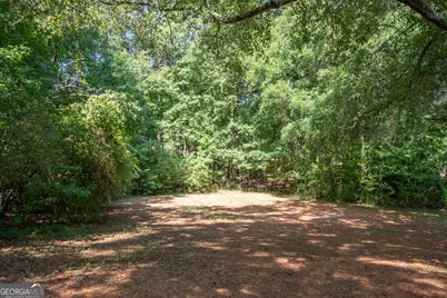 247 Ball Street, Moreland, GA 30259 - Photo 39