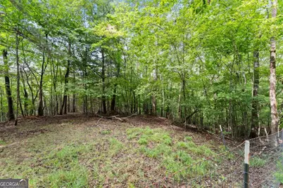 34 Somerset Place, Dahlonega, GA 30533 - Photo 29