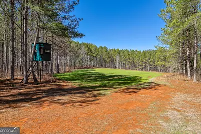 T1-2 Old Zebulon Road, Forsyth, GA 31029 - Photo 41