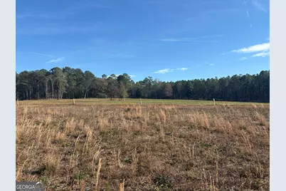 T1 Old Zebulon Road, Forsyth, GA 31029 - Photo 73