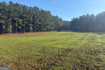 T1 Old Zebulon Road, Forsyth, GA 31029 - Photo 87