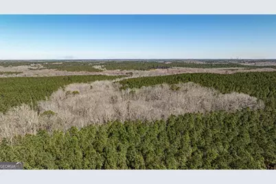 T1 Old Zebulon Road, Forsyth, GA 31029 - Photo 5