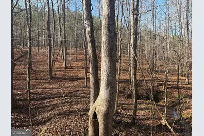 T1 Old Zebulon Road, Forsyth, GA 31029 - Photo 69