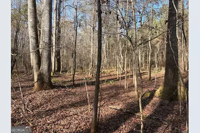 T1 Old Zebulon Road, Forsyth, GA 31029 - Photo 19