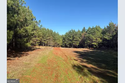 T1 Old Zebulon Road, Forsyth, GA 31029 - Photo 89