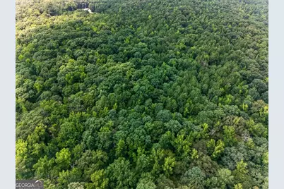 0 Highway 42, Forsyth, GA 31029 - Photo 13