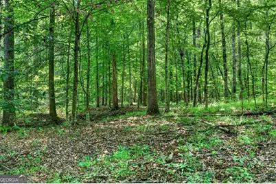 0 Highway 42, Forsyth, GA 31029 - Photo 5