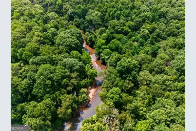 0 Highway 42, Forsyth, GA 31029 - Photo 3