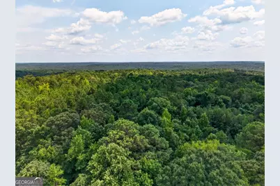 0 Highway 42, Forsyth, GA 31029 - Photo 11