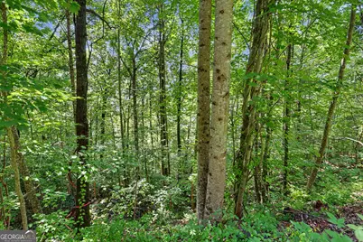 0 Waterfall Drive 5D, Clayton, GA 30525 - Photo 5