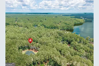 1031 Montgomery Drive, Greensboro, GA 30642 - Photo 53