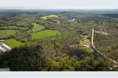 647 Pine Valley Road, Meansville, GA 30256 - Photo 41