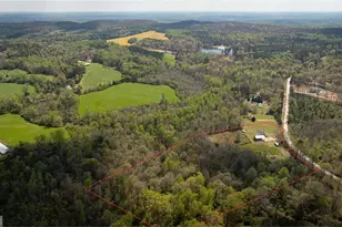 647 Pine Valley Rd, Meansville, GA 30256 - Photo 39