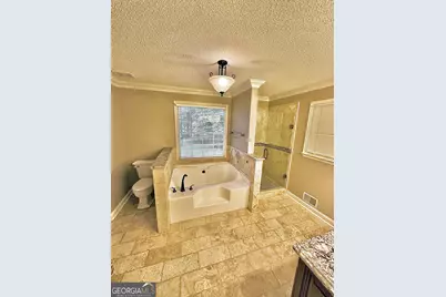 439 Abbington Lane, Douglasville, GA 30134 - Photo 13