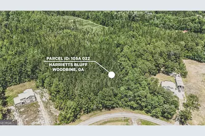 V/L 22 Village Drive, Woodbine, GA 31569 - Photo 1