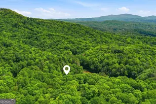 1564 Big Ben Rd, Ellijay, GA 30540 - Photo 41