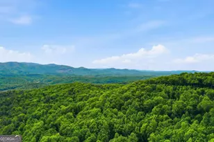 1564 Big Ben Rd, Ellijay, GA 30540 - Photo 63