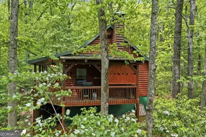1564 Big Ben Road, Ellijay, GA 30540 - Photo 61