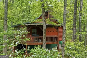 1564 Big Ben Rd, Ellijay, GA 30540 - Photo 61