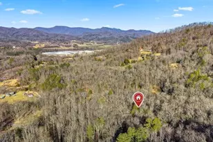 355 Henslee Hollow Ln, Rabun Gap, GA 30568 - Photo 9