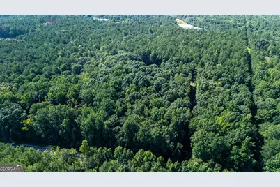0 Hunt Road #2, Lagrange, GA 30241 - Photo 3