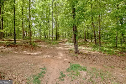 374 Persimmon Drive, Sharpsburg, GA 30277 - Photo 75