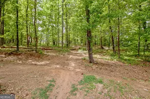 374 Persimmon Dr, Sharpsburg, GA 30277 - Photo 75