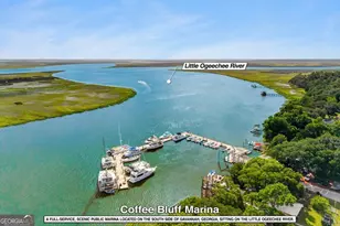 9 Devon Rd, Savannah, GA 31419 - Photo 67