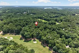 1091 Lockets Trail, Greensboro, GA 30642 - Photo 3