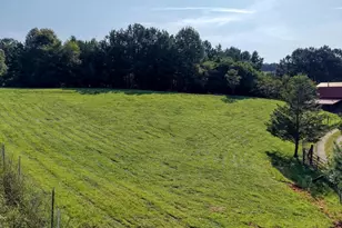 4782 Squirrel Hunting Rd, Morganton, GA 30560 - Photo 67