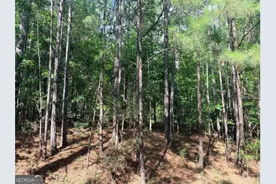 7.725 Ac Slalom Pass, Forsyth, GA 31029 - Photo 9