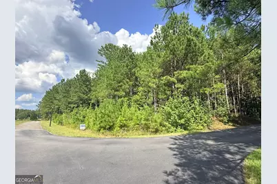 7.725 Ac Slalom Pass, Forsyth, GA 31029 - Photo 11