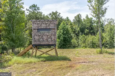 0 Nicholson-Carr Road, Chester, GA 31012 - Photo 37