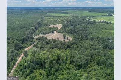 0 Nicholson-Carr Road, Chester, GA 31012 - Photo 5