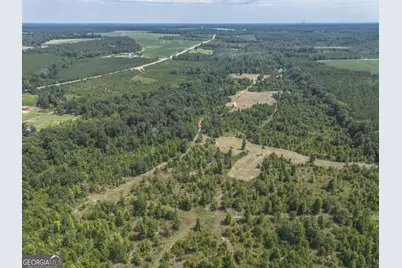 0 Nicholson-Carr Road, Chester, GA 31012 - Photo 15