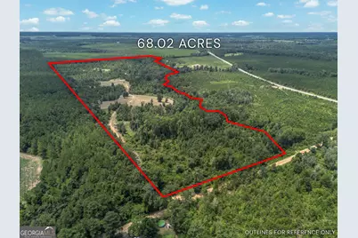 0 Nicholson-Carr Road, Chester, GA 31012 - Photo 1