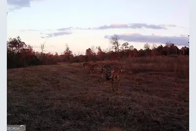 0 Nicholson-Carr Road, Chester, GA 31012 - Photo 51