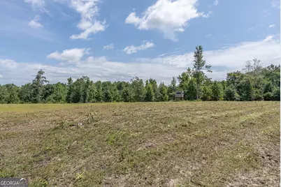 0 Nicholson-Carr Road, Chester, GA 31012 - Photo 31
