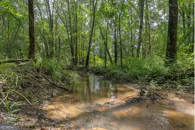 0 Nicholson-Carr Road, Chester, GA 31012 - Photo 39
